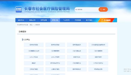 长春医保网上查询指南
