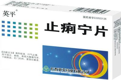 英平/止痢宁片招商信息 长春银诺克药业